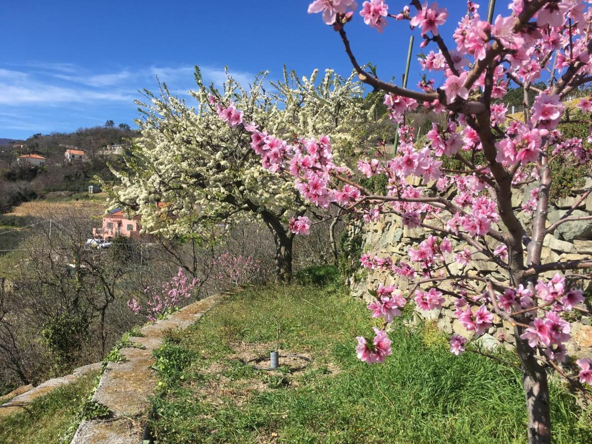 Agriturismo Lavalleggia Tovo San Giacomo 外观 照片