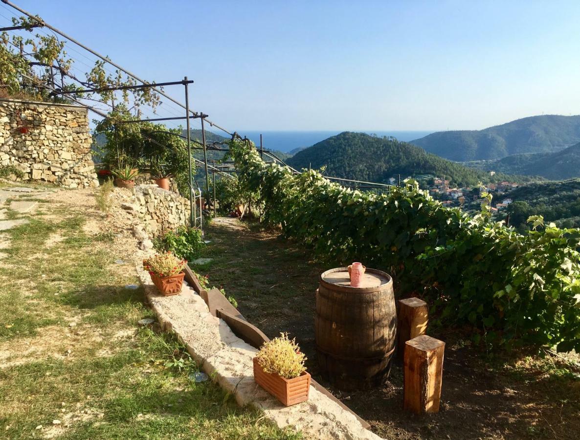 Agriturismo Lavalleggia Tovo San Giacomo 外观 照片