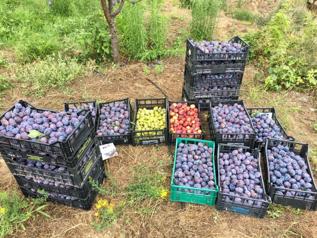 Agriturismo Lavalleggia Tovo San Giacomo 外观 照片