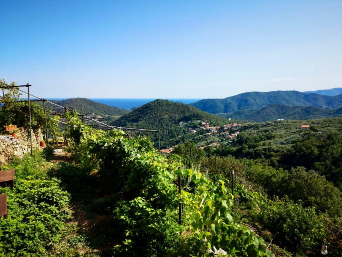 Agriturismo Lavalleggia Tovo San Giacomo 外观 照片