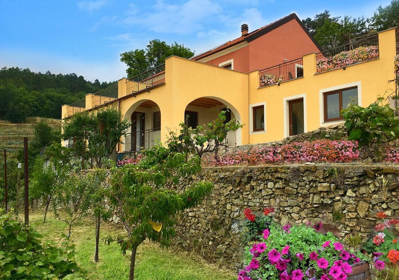 Agriturismo Lavalleggia Tovo San Giacomo 外观 照片